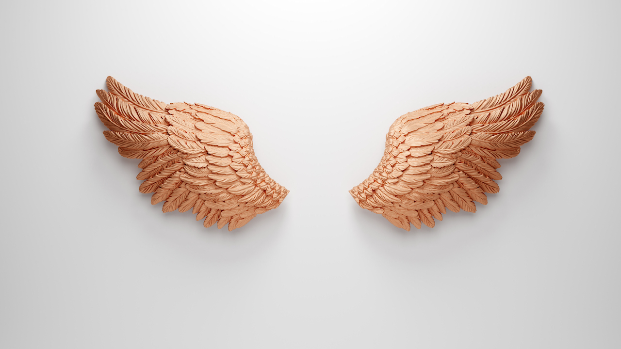Rose gold angel wings on wall template